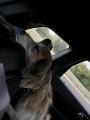 Alex_RHvisit_2022-10 (276)
