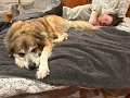 Alex_WeekWithMoose_2022-12 (4)