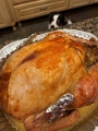 Family-TurkeyDay_2022 (12)