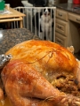Family-TurkeyDay_2022 (13)