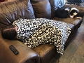 JessAndZoey_2022-03 (3)