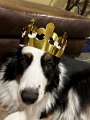 Jess_ZoeyQueen_2022-11 (4)
