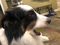 Jess_ZoeysBall_2022-06 (1)