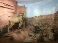 SMART-VI_IMG_1747