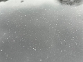 TXSNowFlurries_2022-12