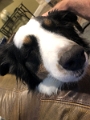 Zoey-ThatsTheSpot_2022-08 (1)