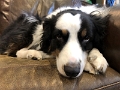 Zoey_Chillin_2022-09 (2)