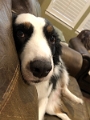Zoey_CouchCute_2022-08