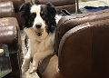Zoey_SLSCSD_2022-12 (2)
