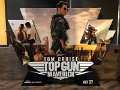 ids_TopGunMav_Private_2022-06 (1)