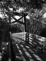 BridgeAnimas0003