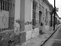 Colima
